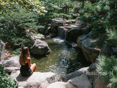Дворы, которые впечатляют: парк на парящем мосту, вечнозеленый сад, японское патио и не только