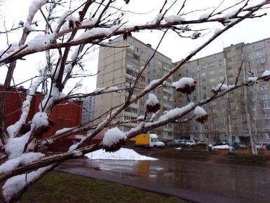 Путин поручил рассмотреть возможность расширения семейной ипотеки на вторичный рынок