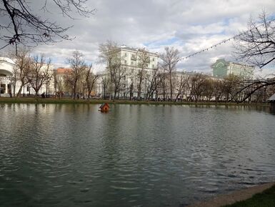 В Москве стало больше районов с благоприятной экологической обстановкой