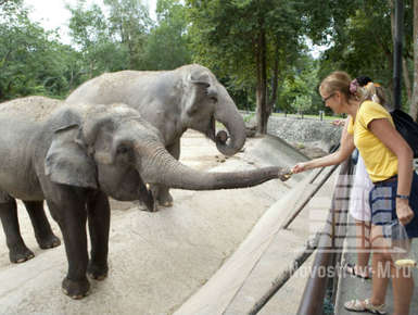 Около недвижимости: Как провести выходные 8 и 9 августа в Москве