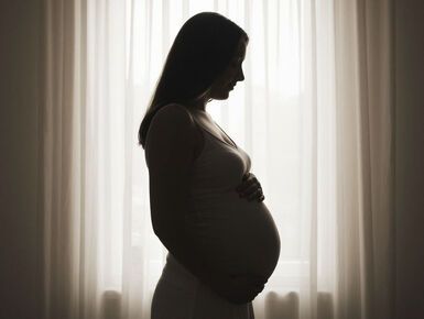 В Госдуме предложили выдавать семейную ипотеку беременным