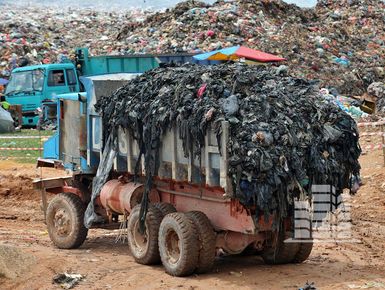 Сжигать нельзя переработать: взгляд эколога на проблему с мусором в Подмосковье