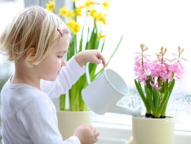 Предоставлять материнский капитал будут в два раза быстрее