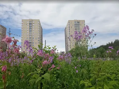 Ситуацию с задержками ввода домов можно назвать контролируемой — Минстрой