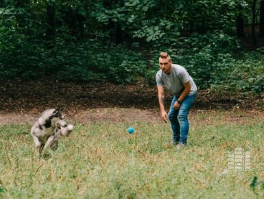 24 современные площадки для выгула собак появятся в Москве в этом году