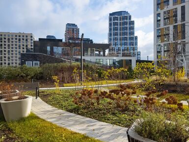 Видео новостройки Клубный город на реке Primavera в районе Покровское-Стрешнево