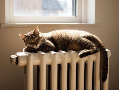 Что изменится в сфере ЖКХ в 2026 году — эксперты