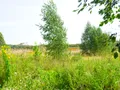 ЖК «Альбертвиль». Окрестности. Фото от 10.08.2016 г.