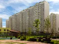 Озеленение территории. Фото: Июль 2017 г.