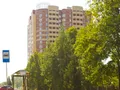 ЖК «Березовый Мир». Остановка общественного транспорта. Фото от 02.08.2016 г.