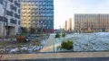 Фото от 20.11.2025 г. Благоустройство территории.