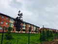 Озеленение территории. Фото октябрь 2017 г.