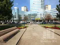 ЖК «Статус». Фото от 21.08.2014 г.