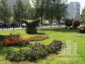Облагороженная территория рядом с ЖК. Фото от 21.08.2014 г.