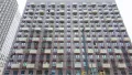 Фото от 02.12.2024 г.