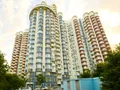 ЖК «Миллион Алых Роз». Дом 7. Фото от 01.06.2016 г.