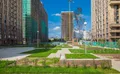 Благоустройство и озеленение территории. Фото октябрь 2019 г.