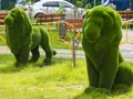 ЖК «Внуково 2016». Элемент благоустройства двора. Фото от 05.07.2017 г.