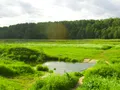 Место где будет построен ЖК «Марусино Forest». Фото от 08.06.2016 г.
