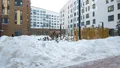 Двор. Фото от 24.01.2026 г.