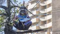 ЖК «Первый Юбилейный». Территория комплекса благоустроена. Фото от 20.09.2018 г.