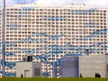 ЖК «Белые росы». Фото от 10.06.2016 г.