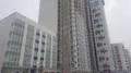 Ход строительства. Фото от 28.12.2016 г.