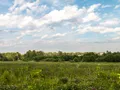 «Дом на ул. Чайковского». Окрестности. Фото от 21.06.2016 г.