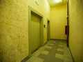 Пример отделки мест общего пользования. Фото от 14.06.2015 г.