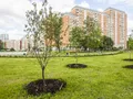 ЖК в Кожухово (мкр. 9, корп.13). Облагороженная территория. Фото от 08.06.2016 г.
