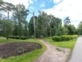 ЖК «Изумрудная 24». На территории проведено озеленение. Фото от 08.06.2016 г.