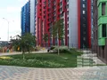 Благоустроенная внутренняя территория комплекса. Фото от 18.08.2014 г.