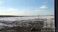 Вид из окна 2 корпуса ЖК «Эко Видное». Фото от 07.04.2014 г.