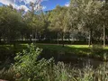 Парк рядом с комплексом.