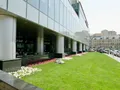 Территория оборудована газоном. Фото от 26.05.2015 г.