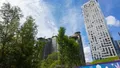 Фотосъемка от 16.06.2024 г.
