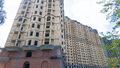 Стадия готовности. Фото от 15.07.26 г.