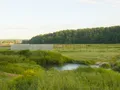 Начало застройки. ЖК «Марусино Forest» Фото от 09.06.2015 г.
