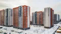 Общий вид.
Аэрофотосъемка 12.01.2022 г.
