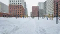 Фотосъемка от 16.01.2026 г.