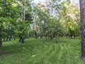 Комплекс расположен в лесопарковой зоне. Фото от 25.05.2015 г.