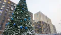 Фотосъемка от 16.01.2026 г.