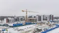 Общий вид. Аэрофотосъемка от 13.01.2023 г.