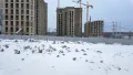 Фотосъемка от 30.12.2024 г.