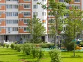 Зеленая территория. Фото: Июль 2017 г.