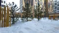 Высажены деревья. Фото от 24.01.2026 г.