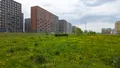 Фотосъемка (18.05.2025 г.)