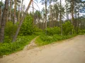 Окрестности. Фото от 09.06.2015 г.