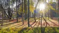 Аэрофотосъёмка от 11.10.2022г.