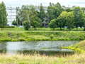 ЖК «Кутузовские березы». Пруд рядом с комплексом. Фото от 14.07.2016 г.